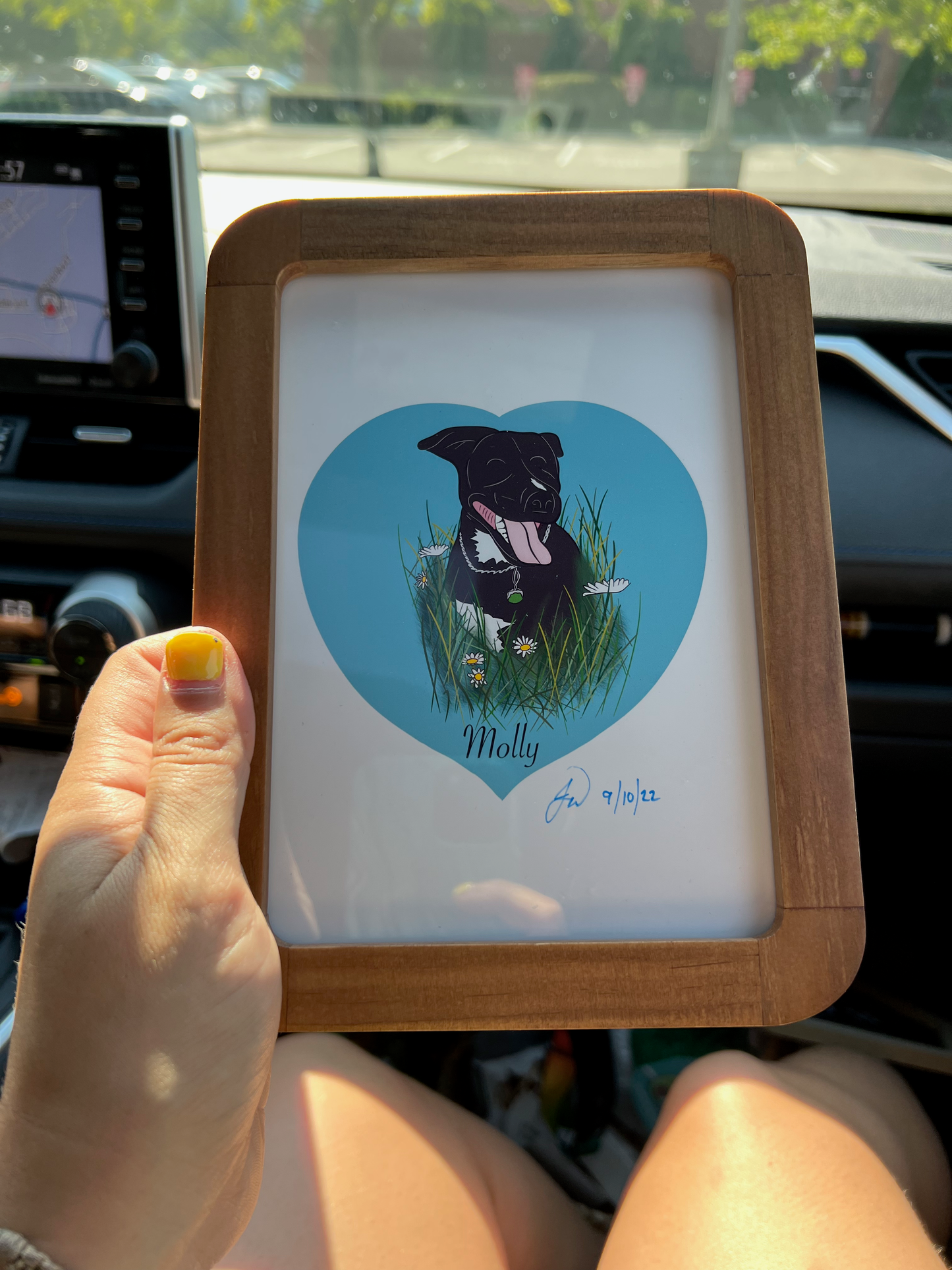 Pet portrait