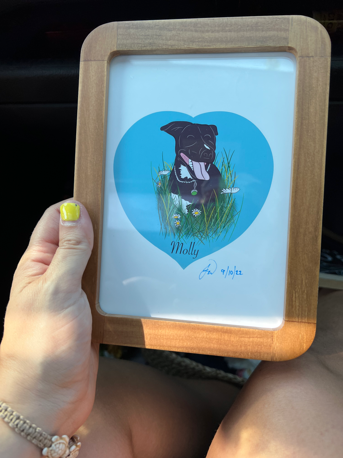 Pet portrait